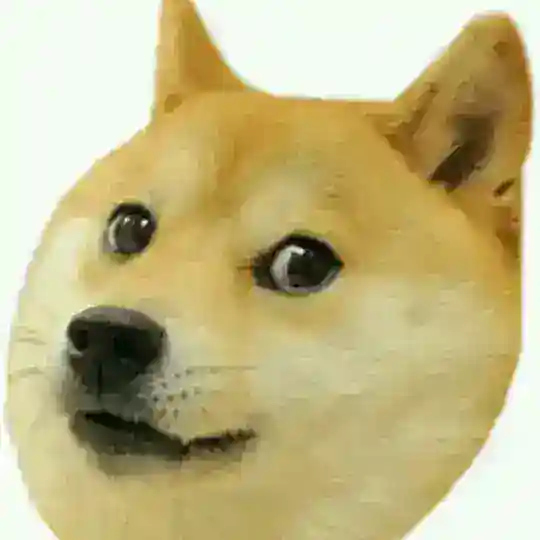 ♣️Easy Earn DOGE