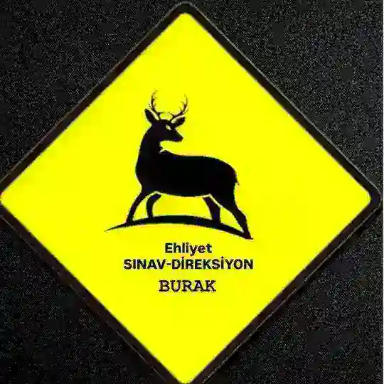 EHLİYET Sınav/Direksiyon