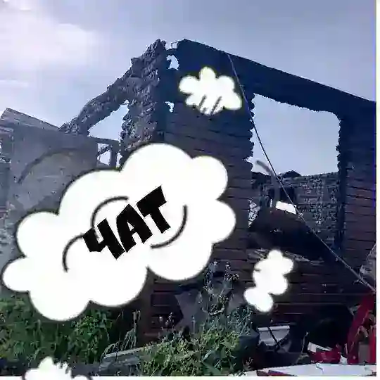 Чат - клушуткарус