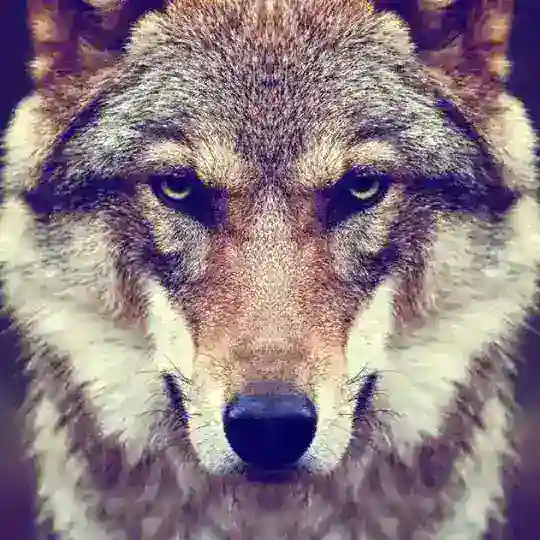 El mesón del lobo🐺
