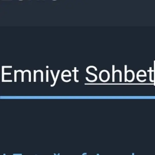 Emniyet Sohbet