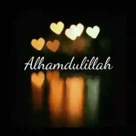 T♡aK♡oY Qadrdonla🤗🤗