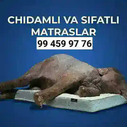 MATRASLAR OLAMI (99)-459-97-76