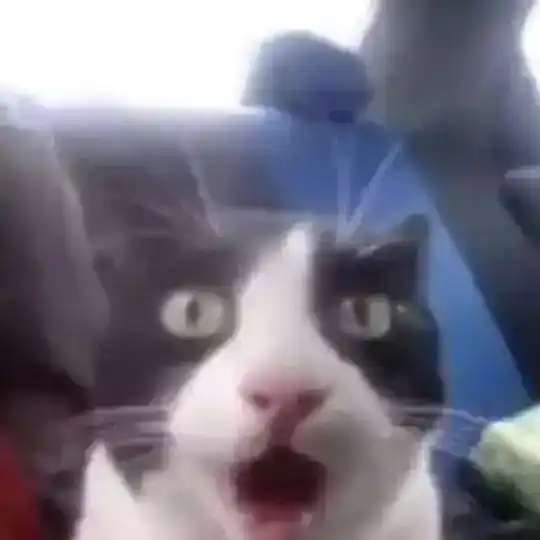 чатик фички типа