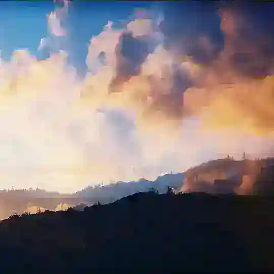 Film Is Forever ππΈβΎβ¨