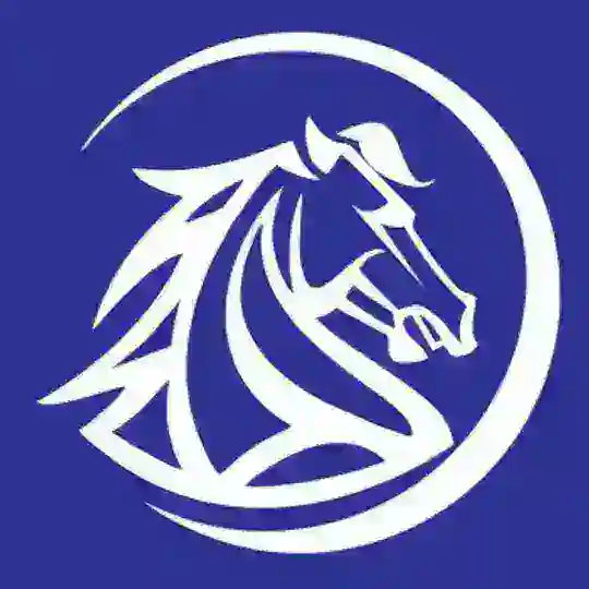 FINANCIAL APOCALYPSE