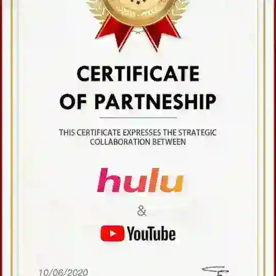 Hulu website group
