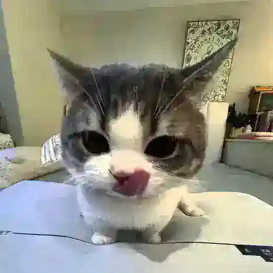 کلیک کن ایرانی و پولدار شو🤑🤑