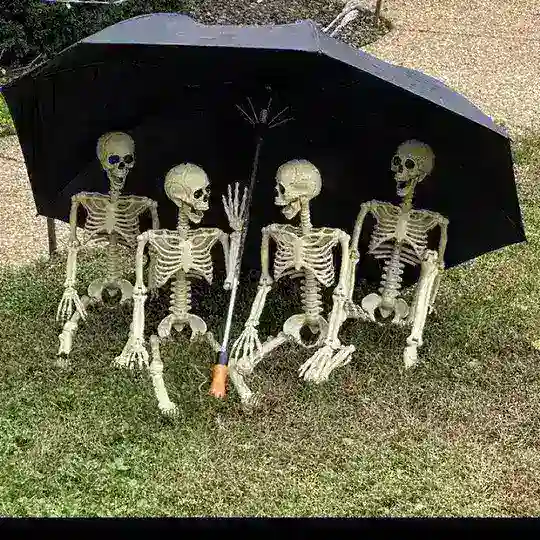 😹FRIENDS👻👻 CIRCLE⭕