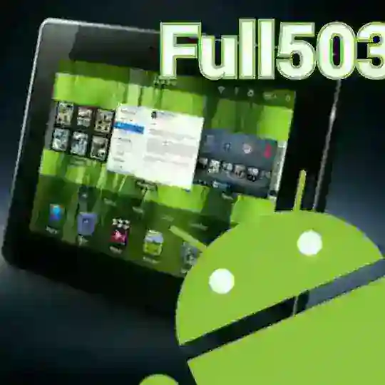 20%Ful503sv