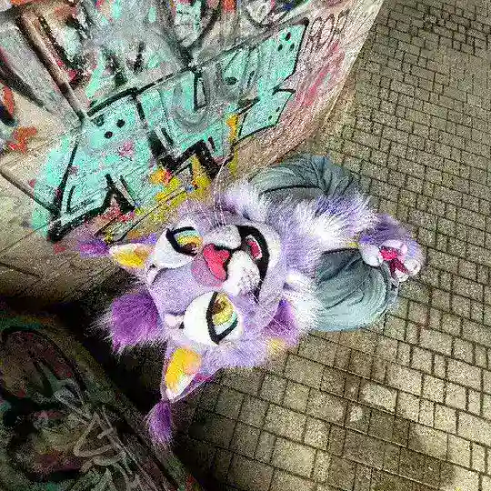 CIUDADELA FURRY