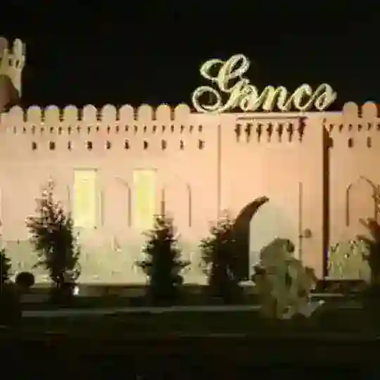 🦅VsemGəncə🦅 Chat