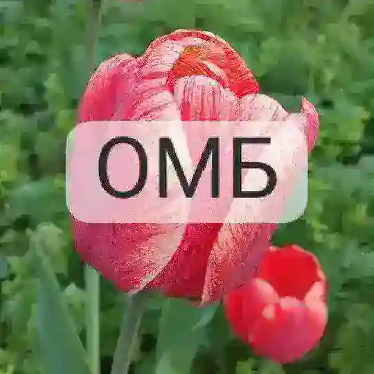 Общение Гармония ОМБ, бережная поддержка