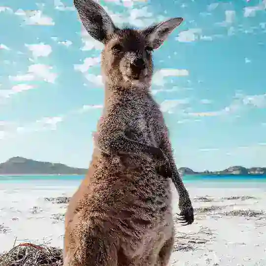 🍆Gay🥒 🌎Universal 🌏