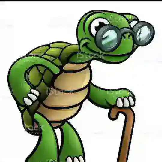 πππππΜ§πππ ππΜππππ