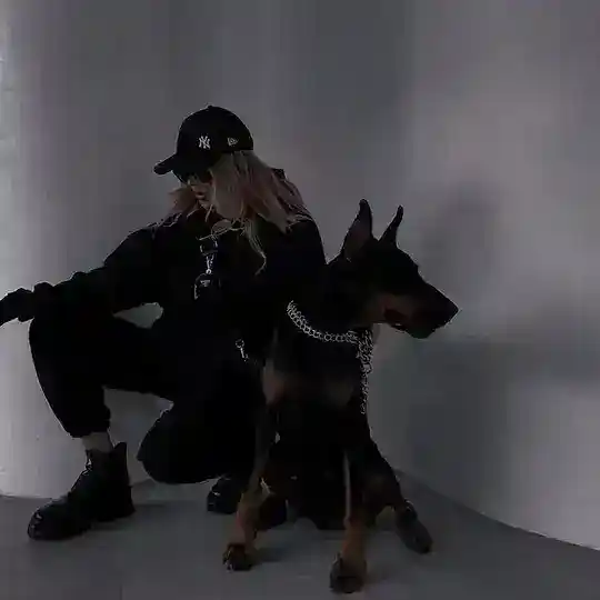𝓖𝓮𝓷𝓬𝓮.𝓸2𝓸🖤🦁