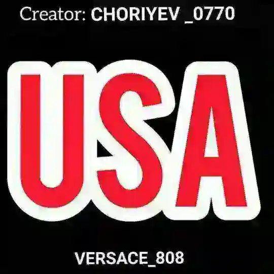 USA_nomer_bor