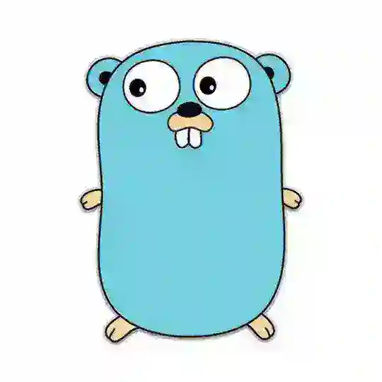 Go Programming Language