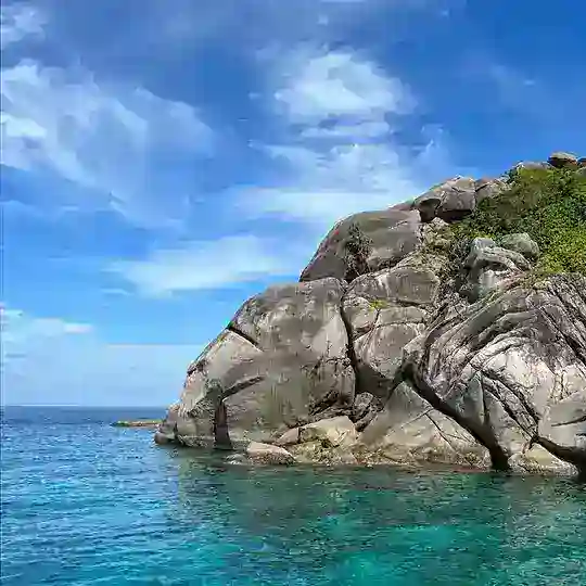 全球未公开-早鸟资讯