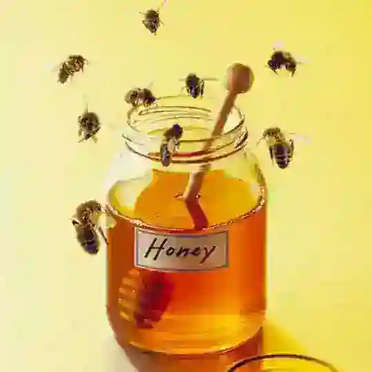 Медовые путешествия