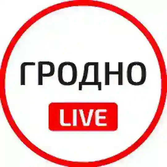 Гродно (чат)