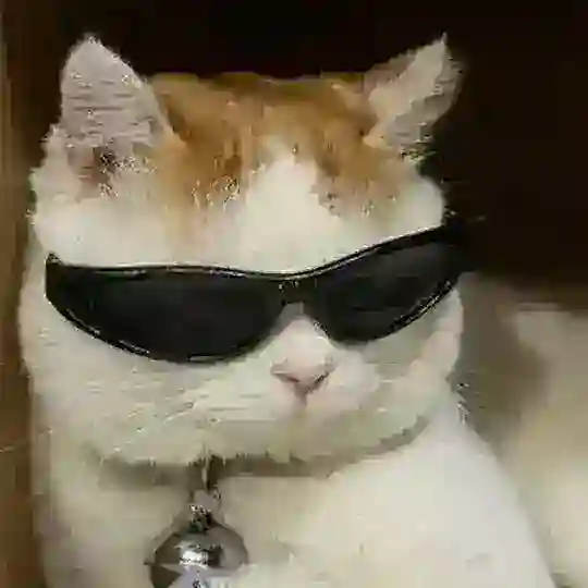 Взаимные подписки