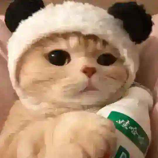 广东BC海外游子