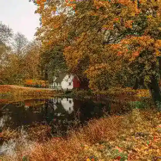 🍂°^ m u s i m g u g u r ^°🍂