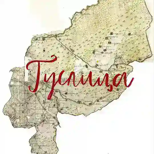 ДНК-генеалогия Гуслицы 🧬
