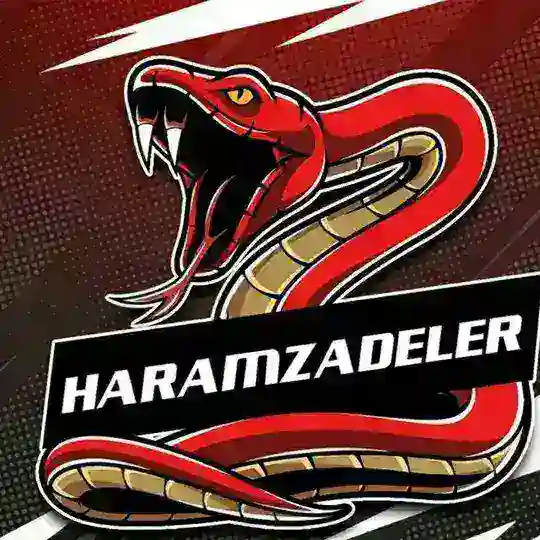 HARAMZADELER