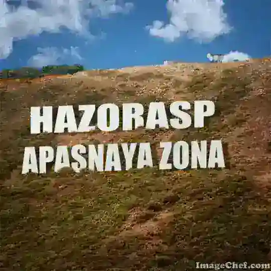 HAZORASP_N1