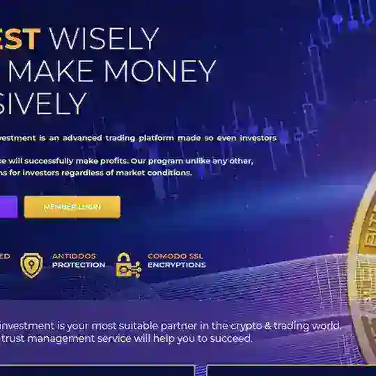 HIGHEARNREAL.COM INVESTMENT COMPANY