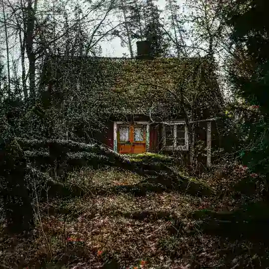 Дом в лесу