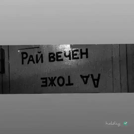 πππππππ & π·πππ ππππβ‘