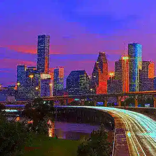 Houston Metro Fur Meets SFW