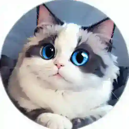 HUHU Community 中文区 🔮😼