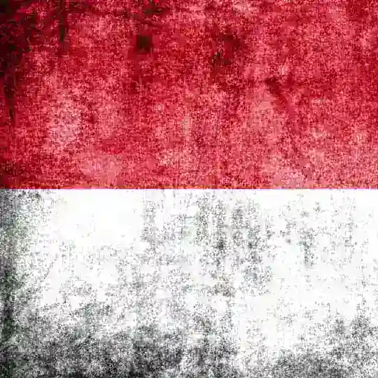 🇲🇨 🥃 ID NIGHTLIFE ♦️◻️ INDONESIA
