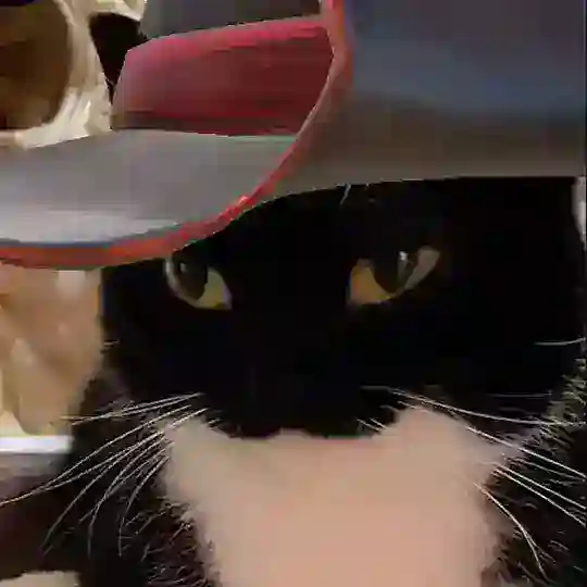 Логово Уни