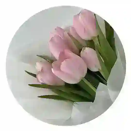 Ingilis dili müzakirə