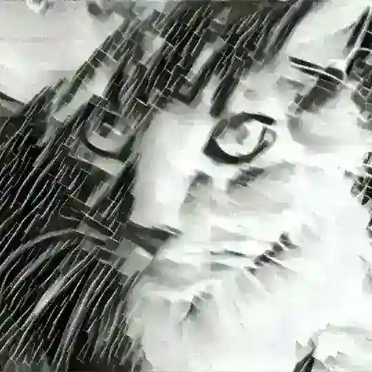 Kitties R Us