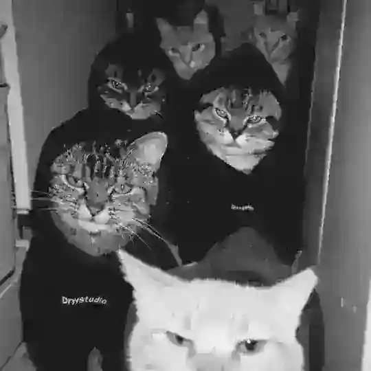 Ƒʀᴇᴀᴋꜱ Ƈʟᴜʙ ࿐