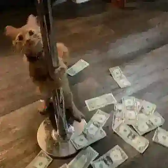𝐉𝐈̇𝐋𝐄𝐓𝐋𝐄 𝐀𝐋𝐄𝐌𝐋𝐄𝐑𝐄