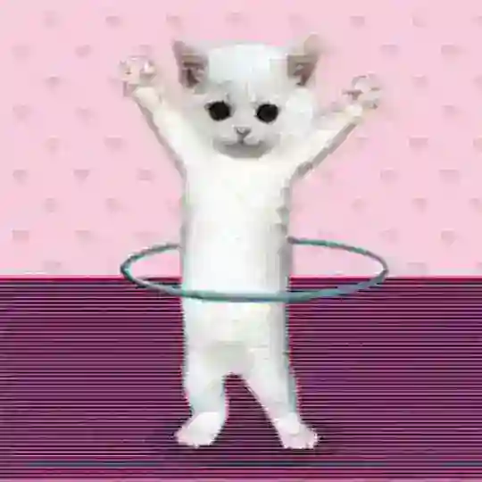 ʚ˗ˏˋ kitty ´ˎ˗ɞ