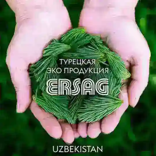 AYOLLAR UCHUN ONLINE ISH👍😎
