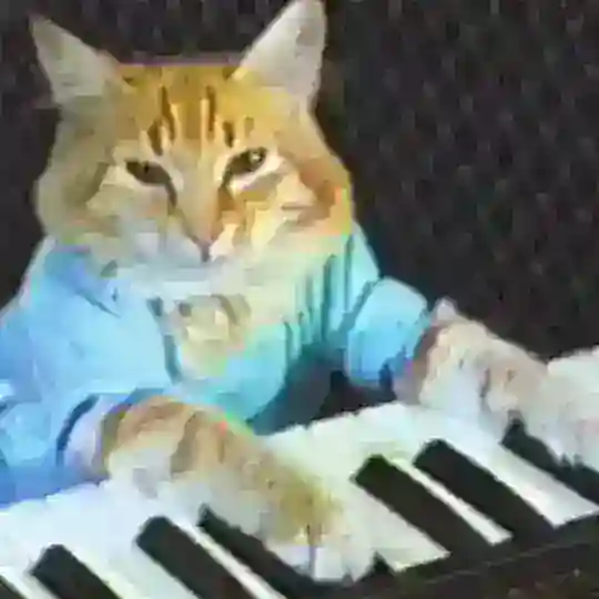 Keyboard Cat $KEYCAT 🎹😼