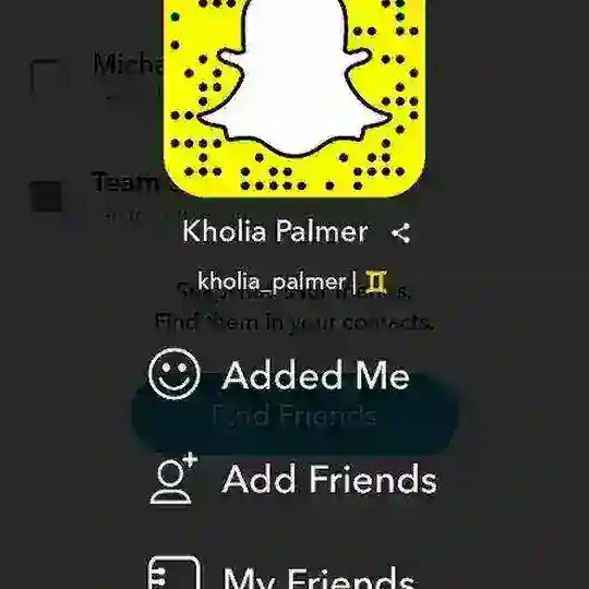 kholia Palmer🤘