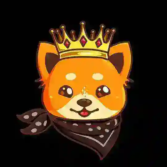 King Doge (KDOGE) Chat
