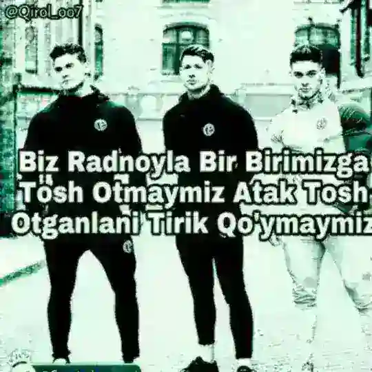 👿 Kocha bollari 👿