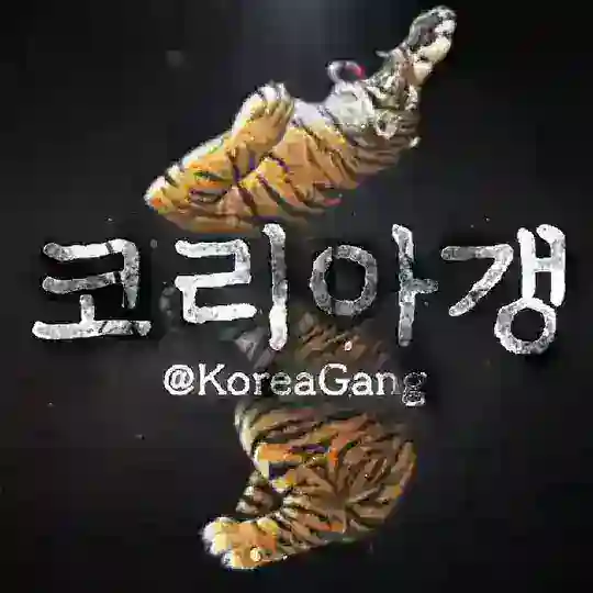 코 리 아 갱 🥷