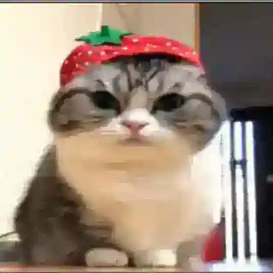 чат 🍉